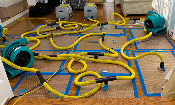 Professional Crawl Space Water Removal technician working in South Tamworth, NH